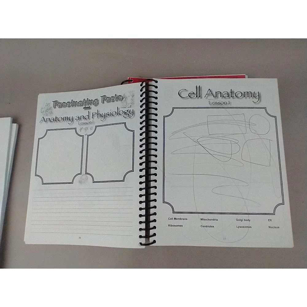 Apologia Junior Anatomy and Physiology Notebooking Journal Young Explorer Series